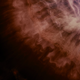 Image for article titled Gorgeous Tree of Life stills look like the greatest science epic of all time